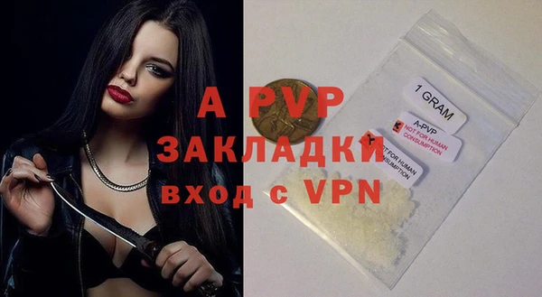 амф Приозерск