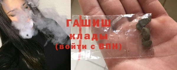 дживик Туринск