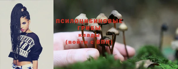 каннабис Протвино