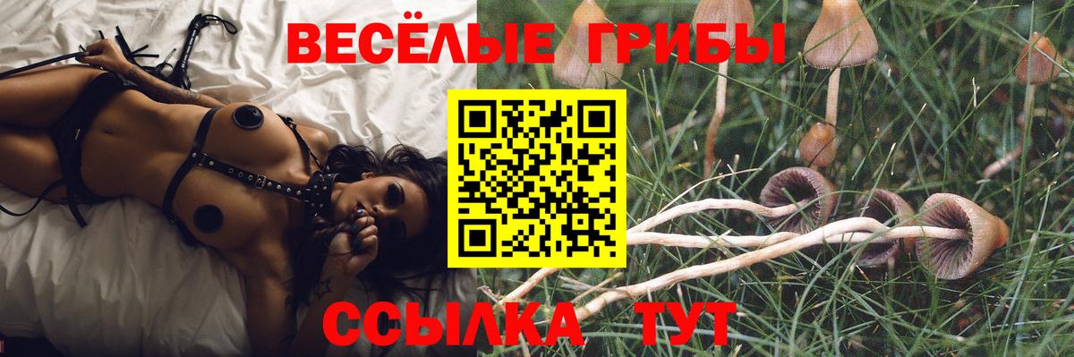 Галлюциногенные грибы прущие грибы Краснокамск